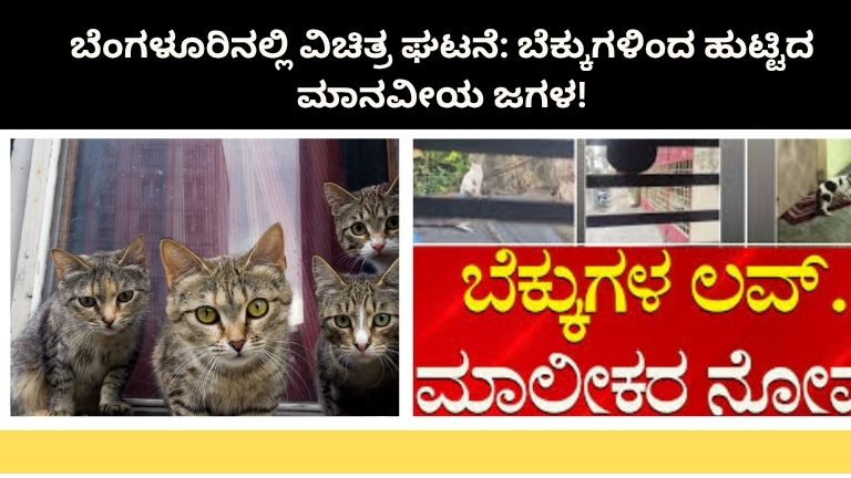 ಬೆಂಗಳೂರಿನಲ್ಲಿ ವಿಚಿತ್ರ ಘಟನೆ